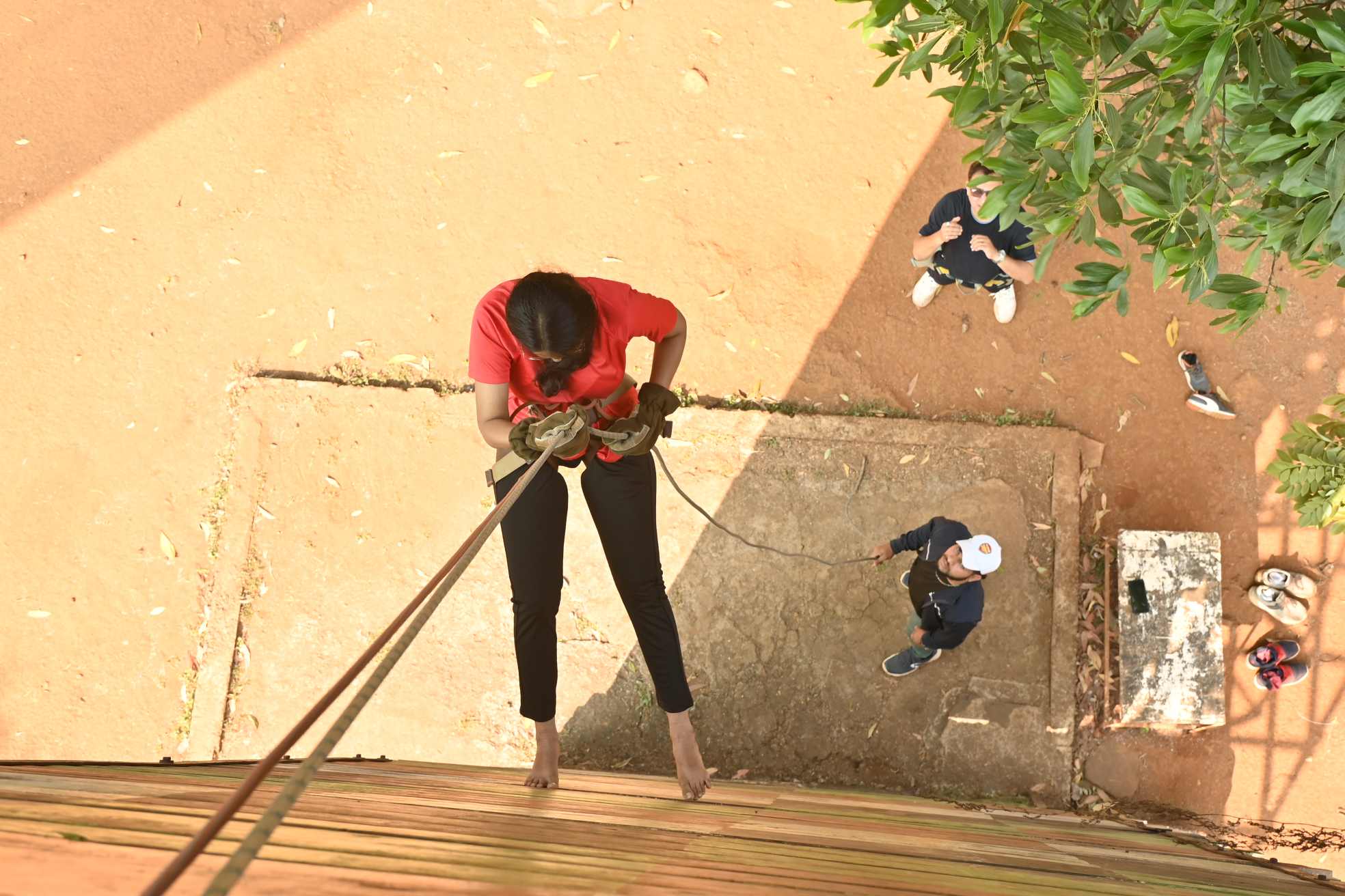 High Rope Bridge Course